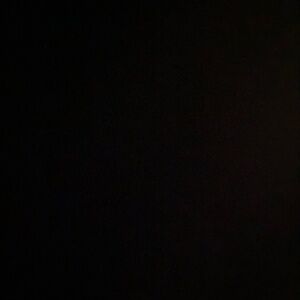 Meet your Posher, Evelyn